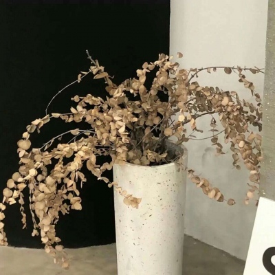 兽设场景透视绘画教程兽圈社群